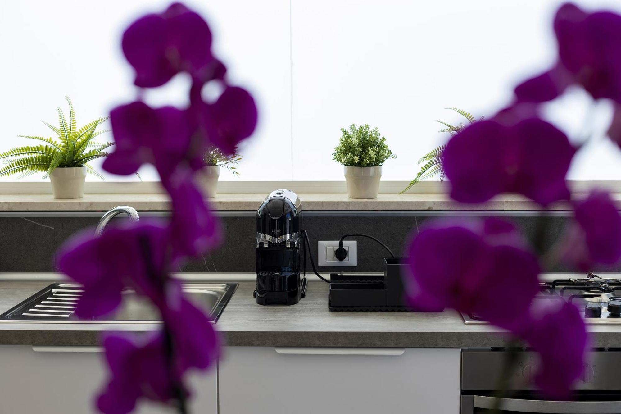 Acquaro Suite Apartments Σαν Βίτο λο Κάπο Δωμάτιο φωτογραφία